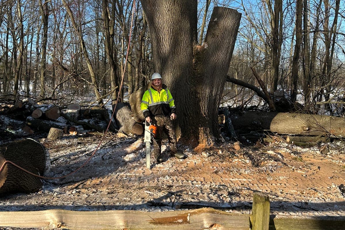 Tree Trimming & Pruning — Healthier trees and a safer property — expert trimming that never butchers your tree.