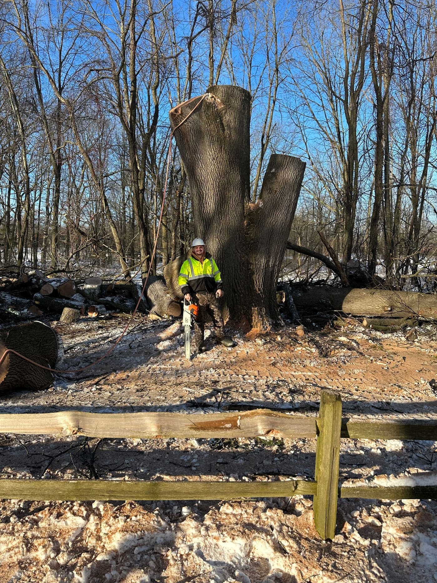Tree work completed by Roots Tree Service in Southwest Michigan